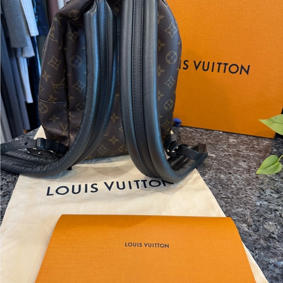 Louis Vuitton Palm Springs Monogram (Updated Zipper) PM